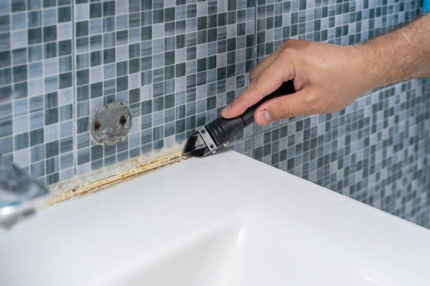 Best Residential Mold Removal  in Marlboro Meadows, MD